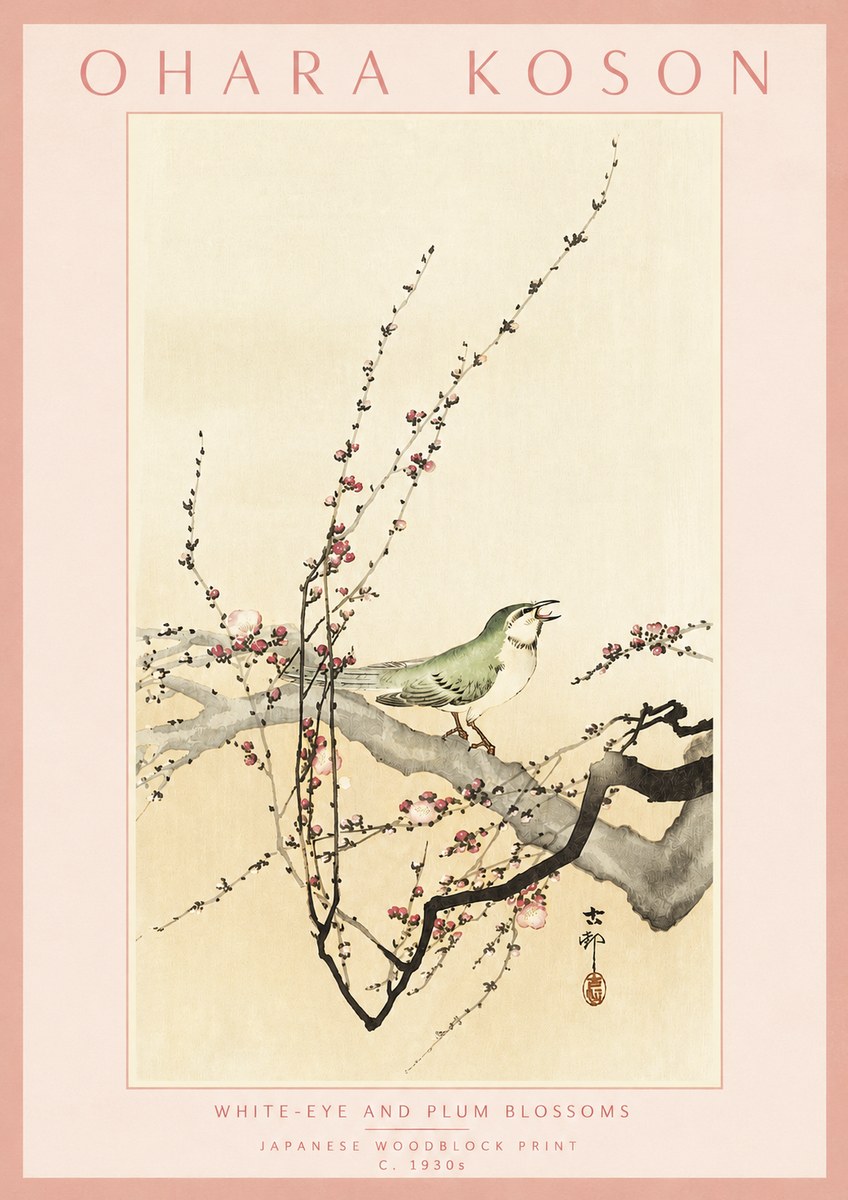 Ohara Koson White-eye and Plum Blossoms No3 - Affiche