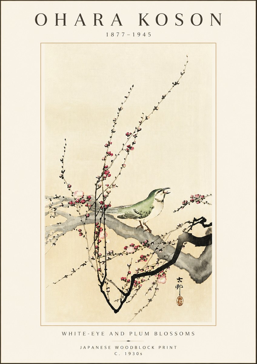 Ohara Koson White-eye and Plum Blossoms No5 - Affiche