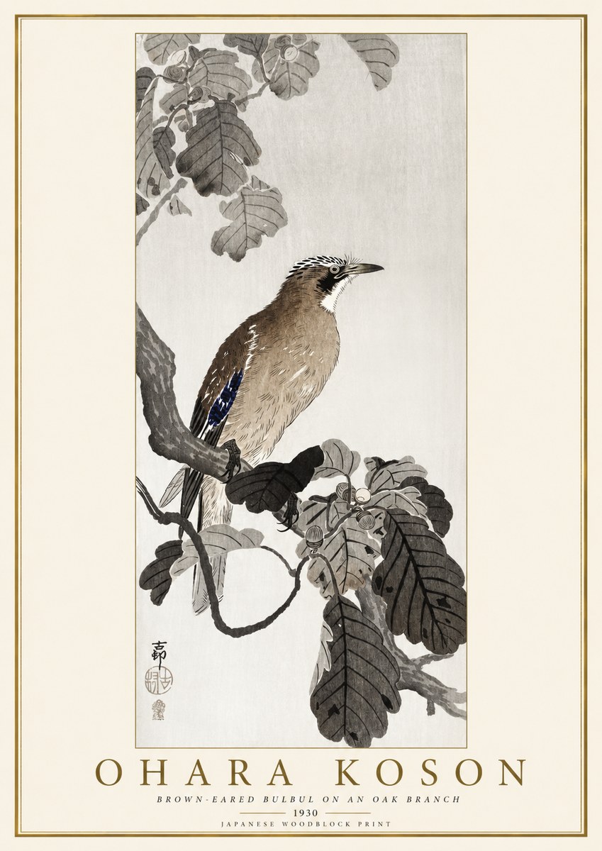 Ohara Koson Brown-eared Bulbul on an Oak Branch No1 - Affiche