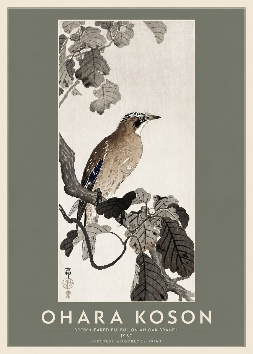 Ohara Koson Brown-eared Bulbul on an Oak Branch No2 - Affiche