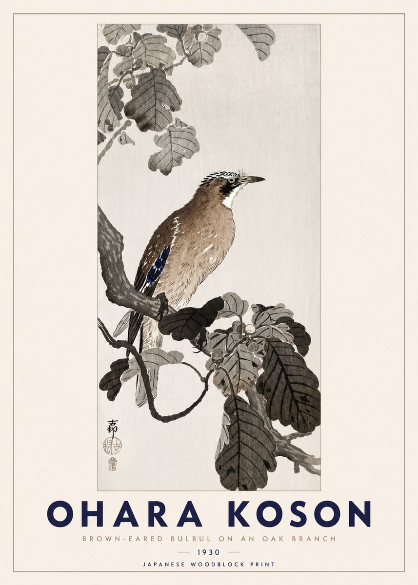 Ohara Koson Brown-eared Bulbul on an Oak Branch No3 - Affiche