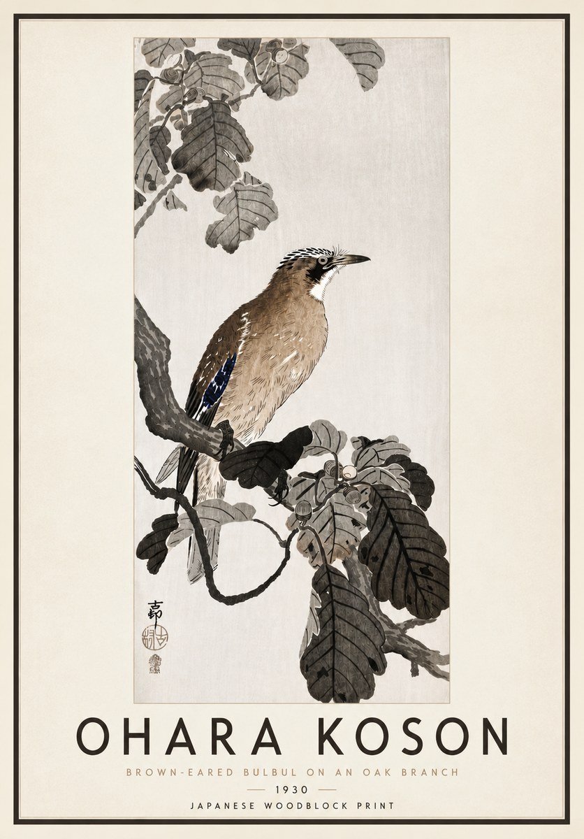 Ohara Koson Brown-eared Bulbul on an Oak Branch No4 - Affiche