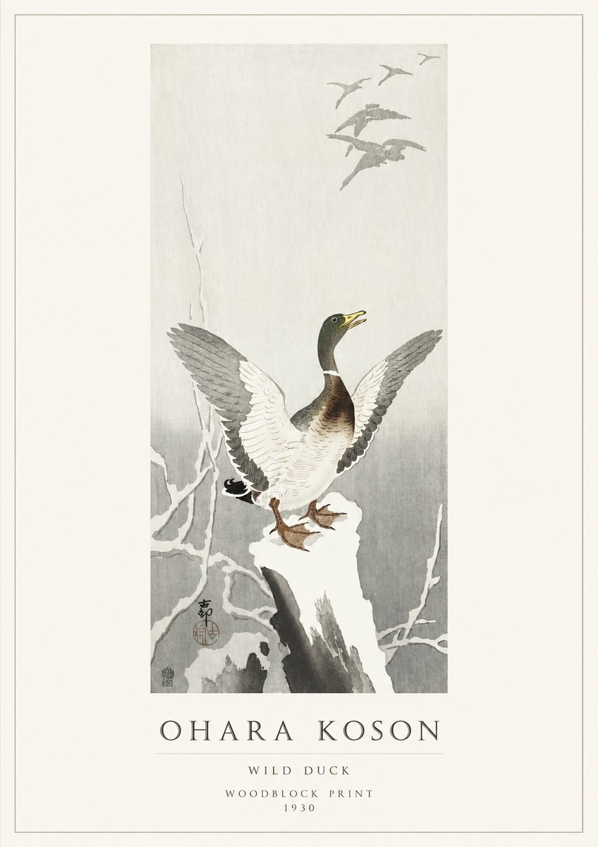 Ohara Koson Wild Duck No1 - Affiche