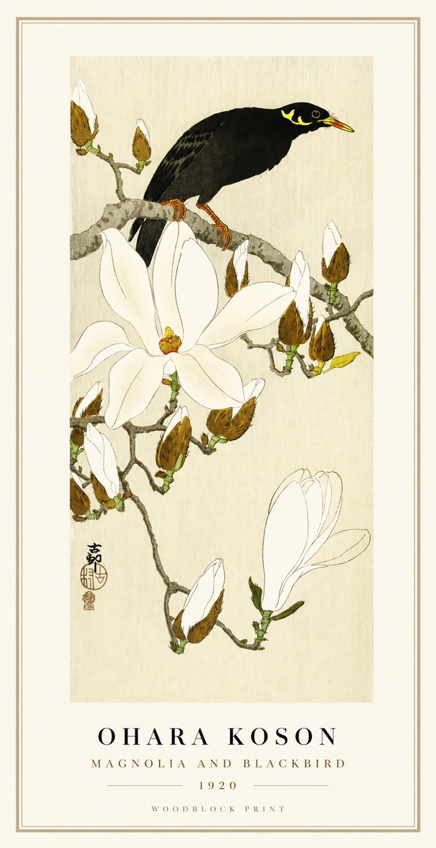 Ohara Koson Magnolia and Blackbird No1 - Affiche