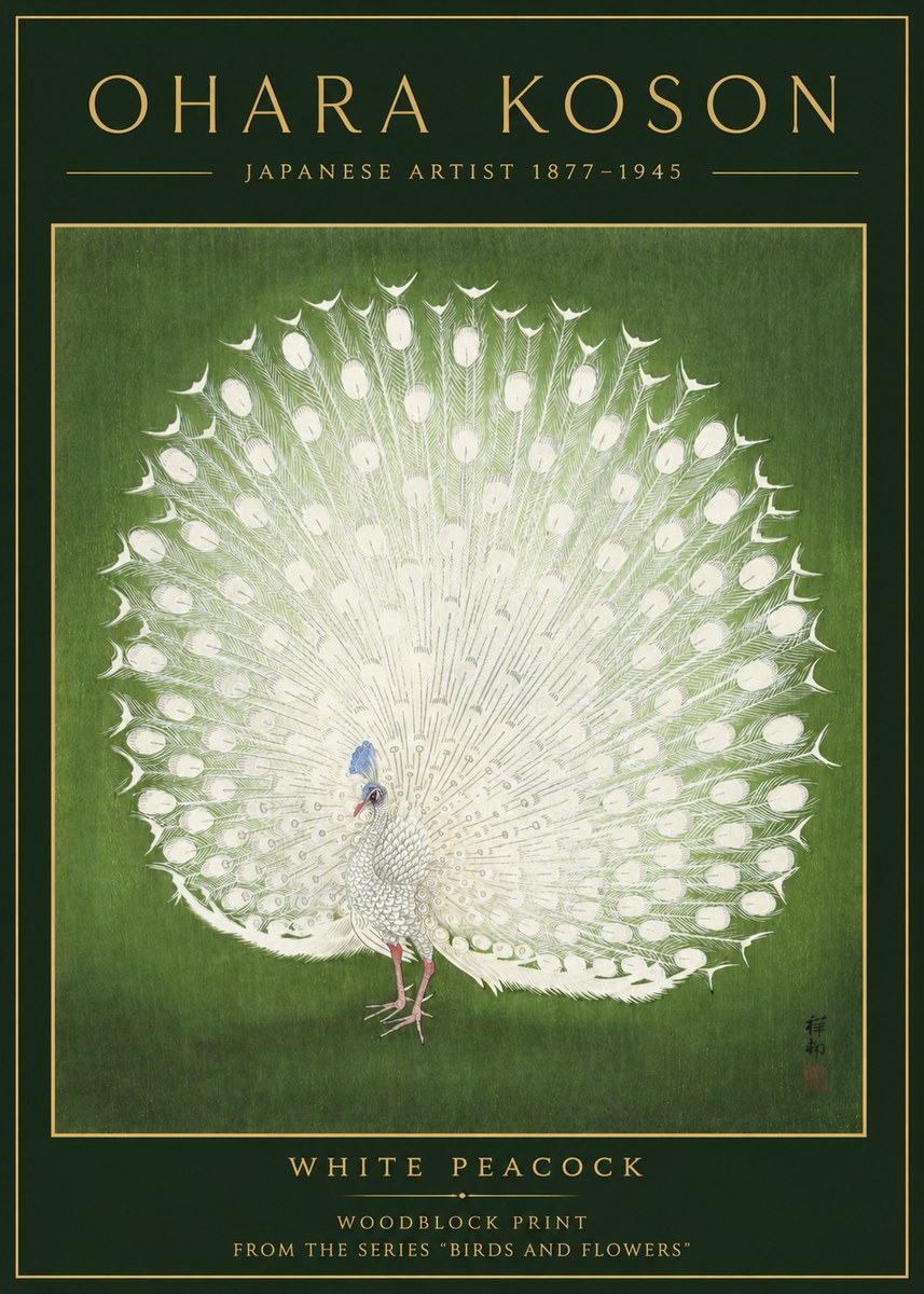 Ohara Koson White Peacock No2 - Affiche
