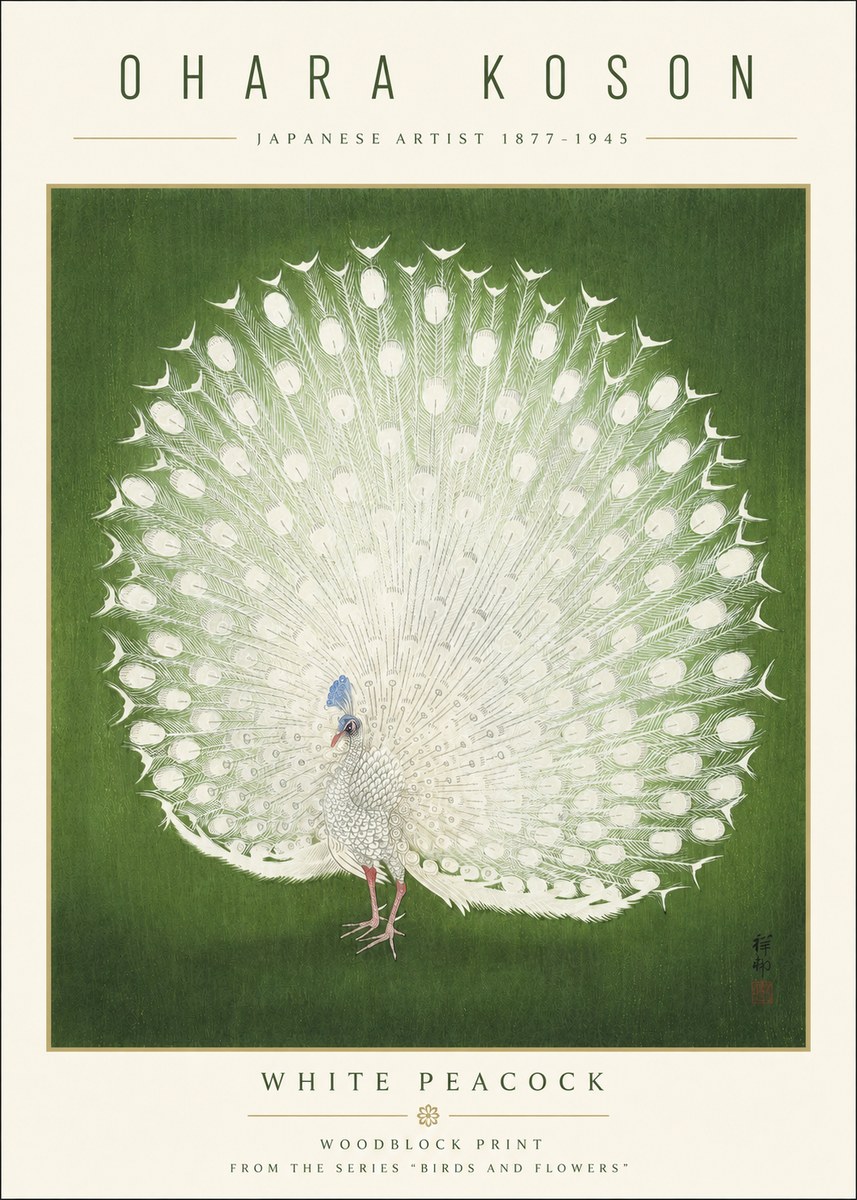 Ohara Koson White Peacock No3 - Affiche