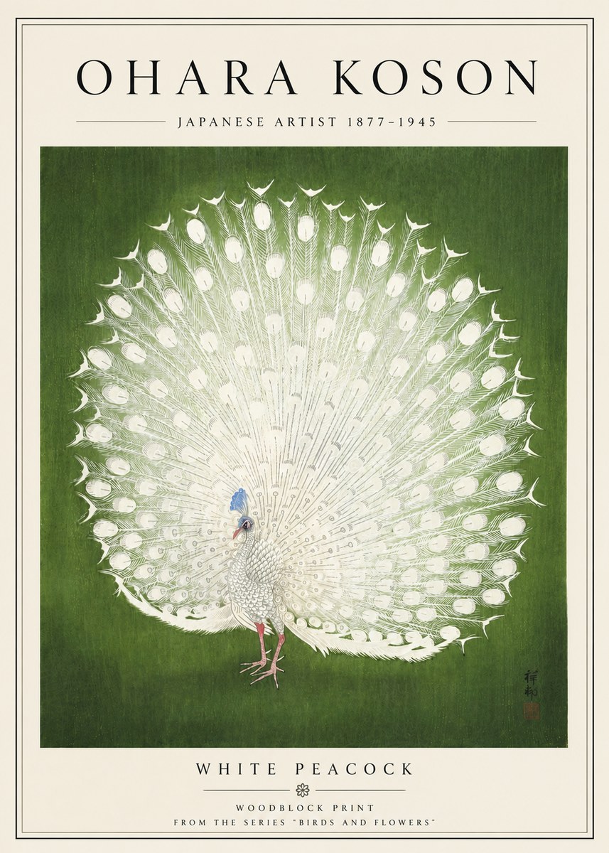 Ohara Koson White Peacock No5 - Affiche