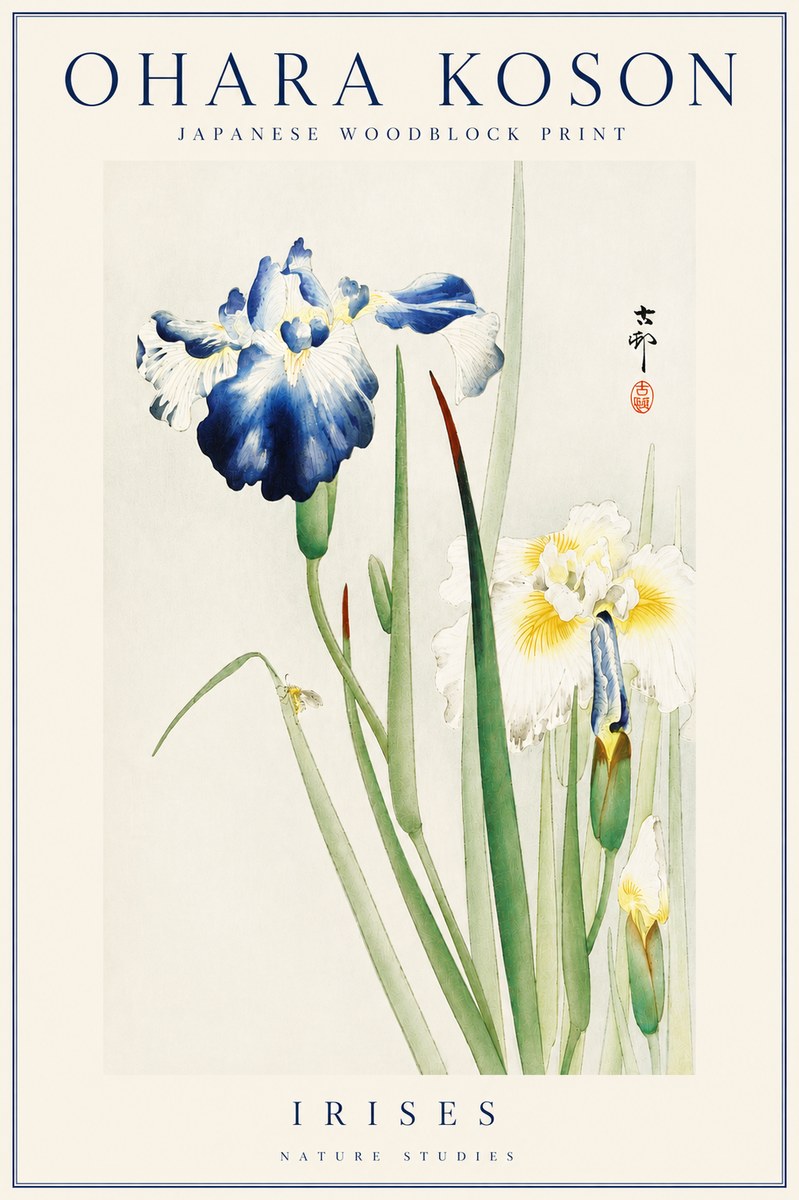 Ohara Koson Irises II No4 - Affiche