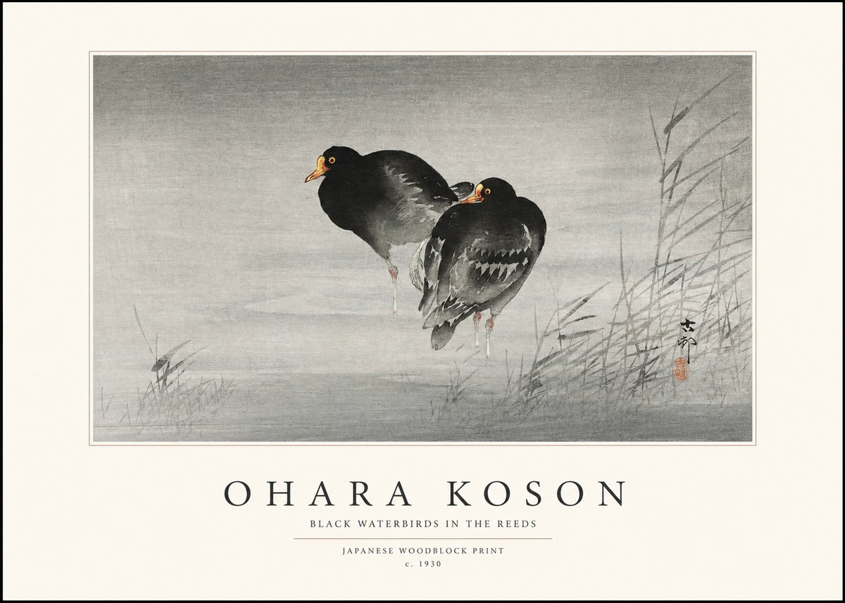Ohara Koson Black Waterbirds in the Reeds No1 - Affiche