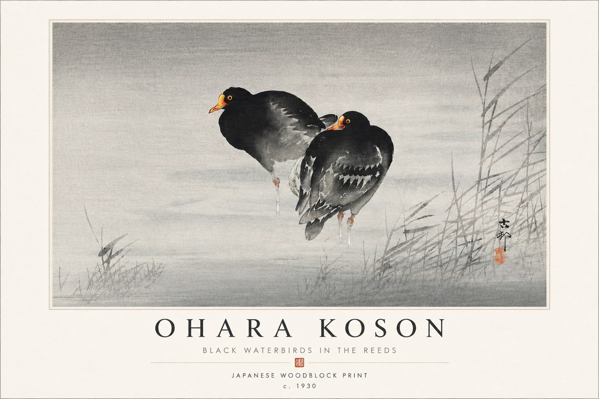 Ohara Koson Black Waterbirds in the Reeds No4 - Affiche