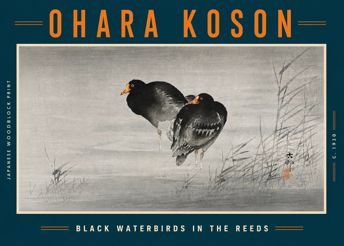 Ohara Koson Black Waterbirds in the Reeds No5 - Affiche