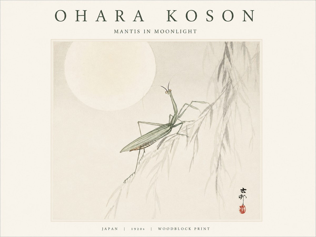 Ohara Koson Mantis in Moonlight No1 - Affiche