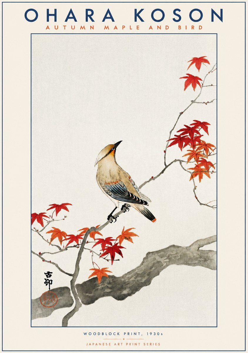 Ohara Koson Autumn Maple and Bird No2 - Affiche