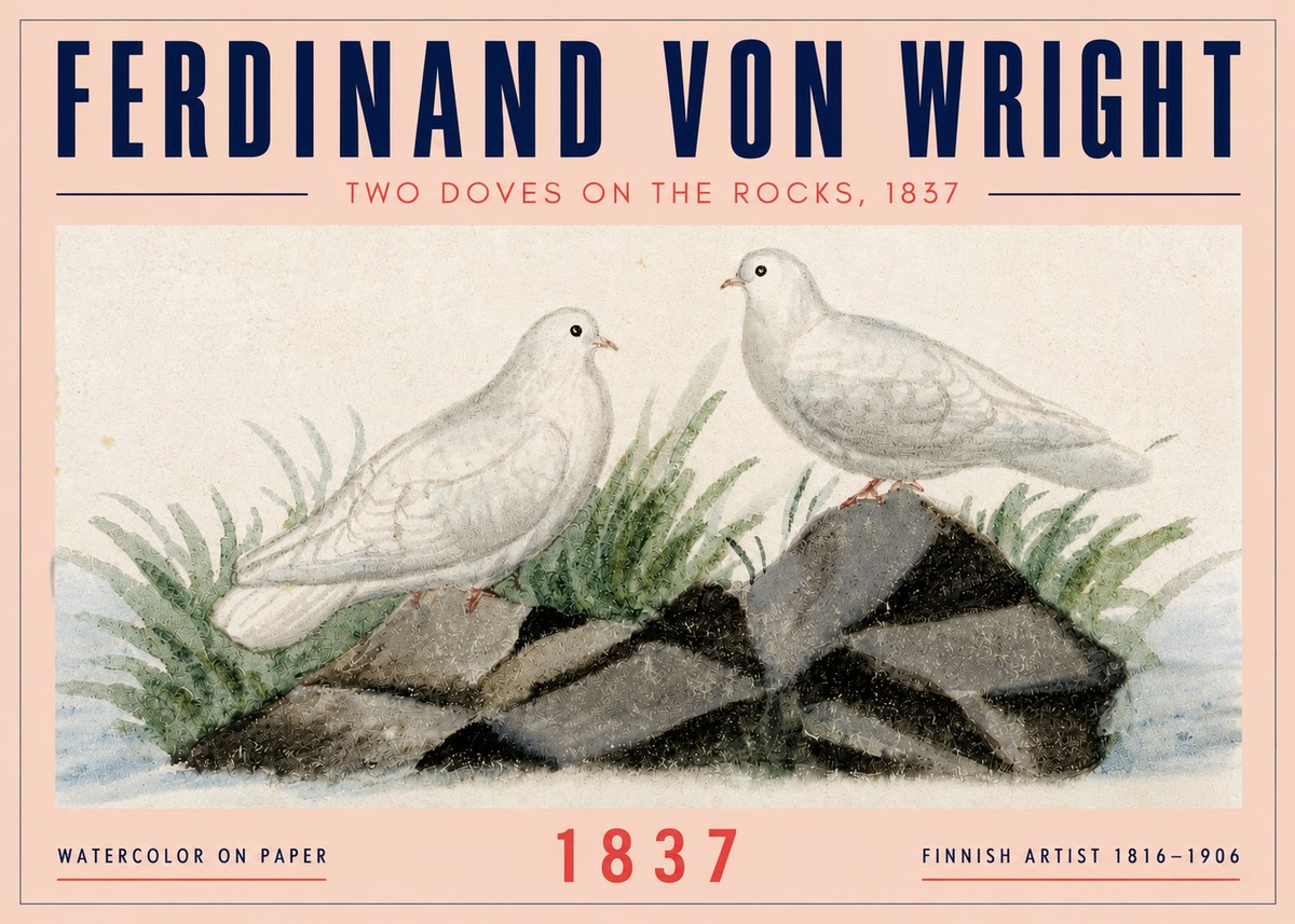 Ferdinand von Wright Two Doves on the Rocks, 1837 No4 - Affiche