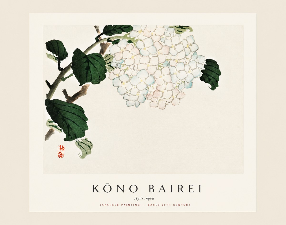 Kōno Bairei Hydrangea No1 - Affiche