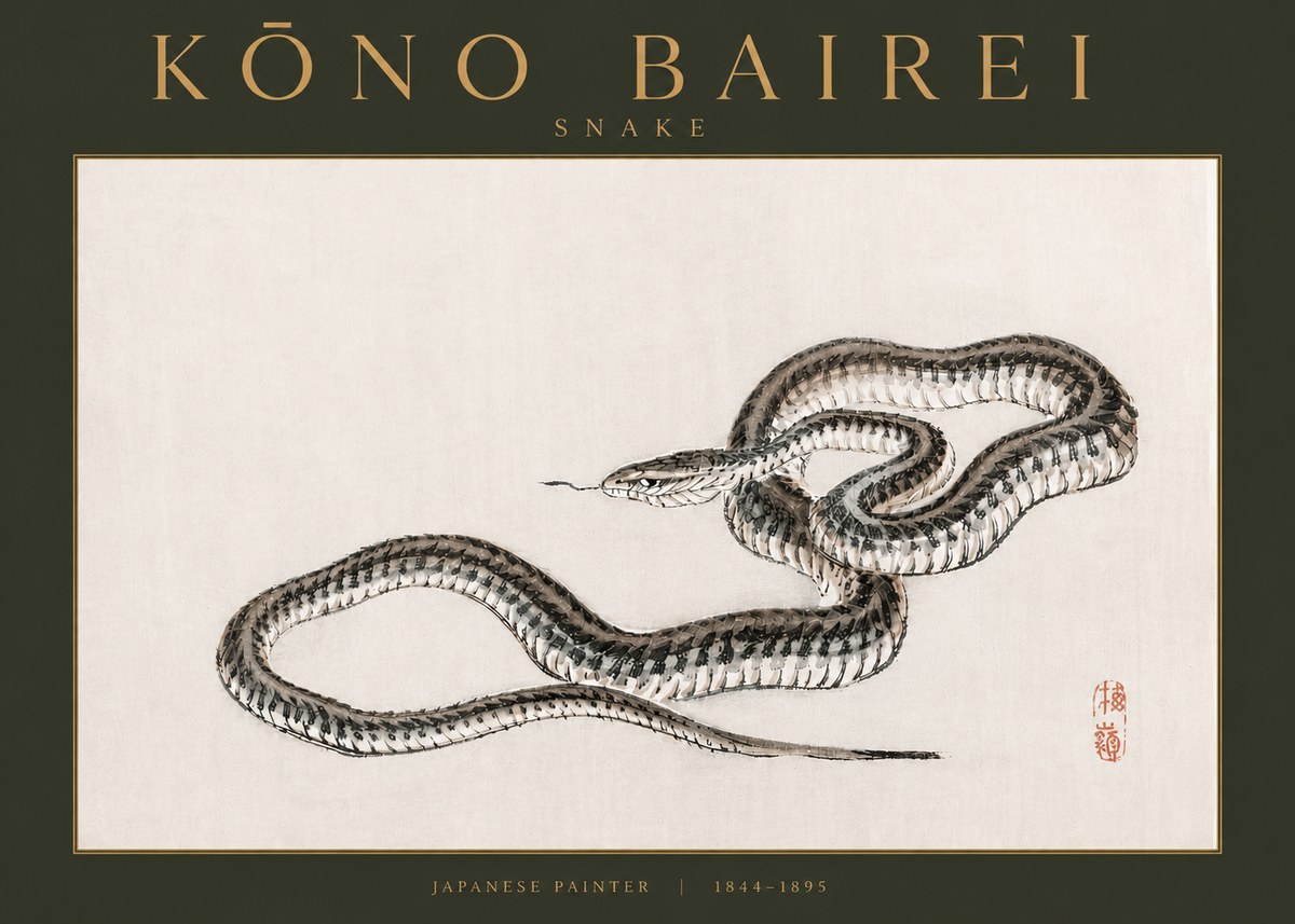 Kōno Bairei Snake No3 - Affiche