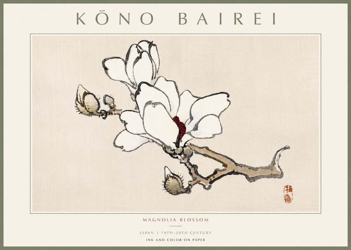Kōno Bairei Magnolia Blossom No5 - Affiche