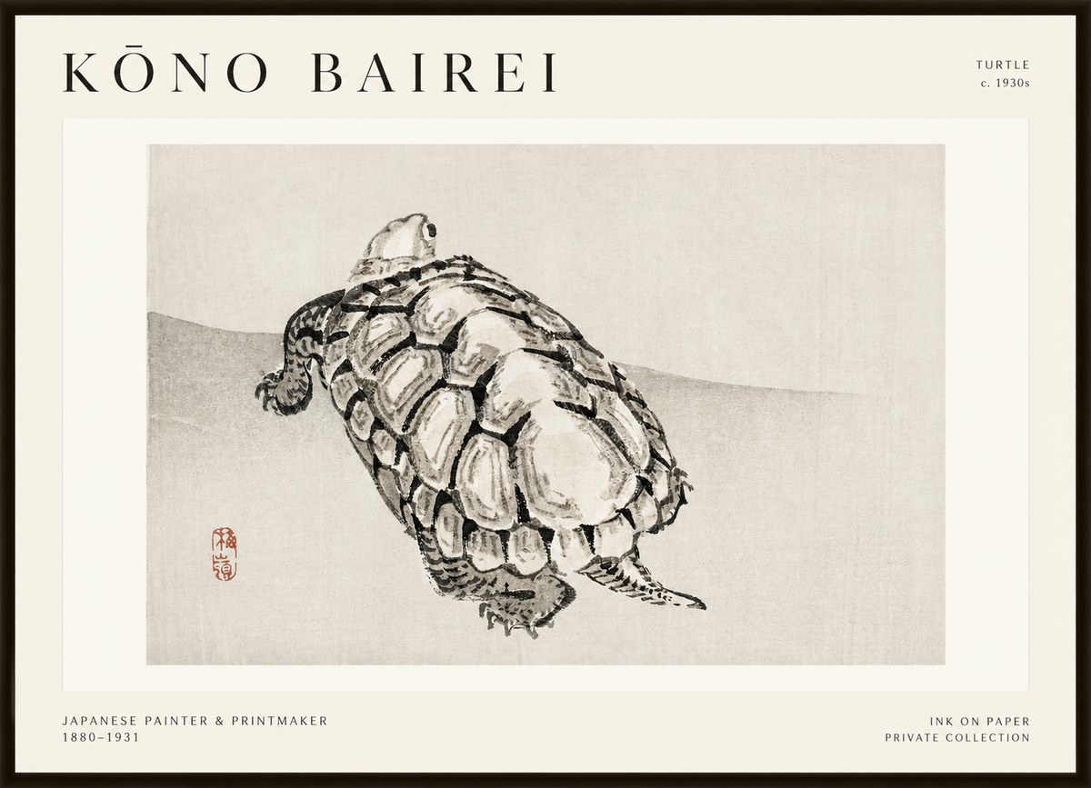Kōno Bairei Turtle No1 - Affiche