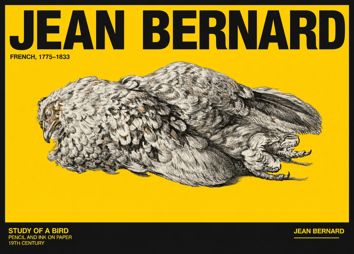 Jean Bernard Study of a Bird I No6 - Affiche