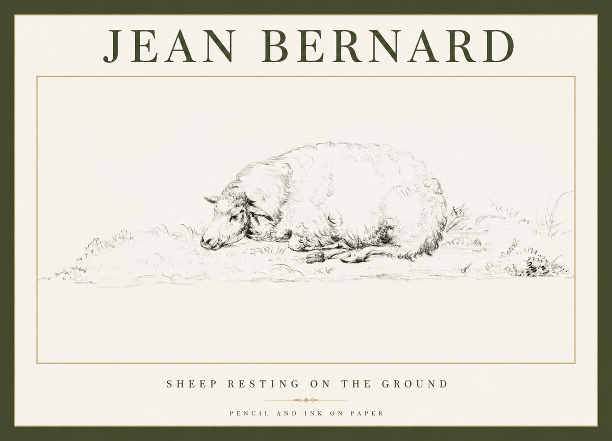 Jean Bernard Sheep Resting on the Ground No1 - Affiche