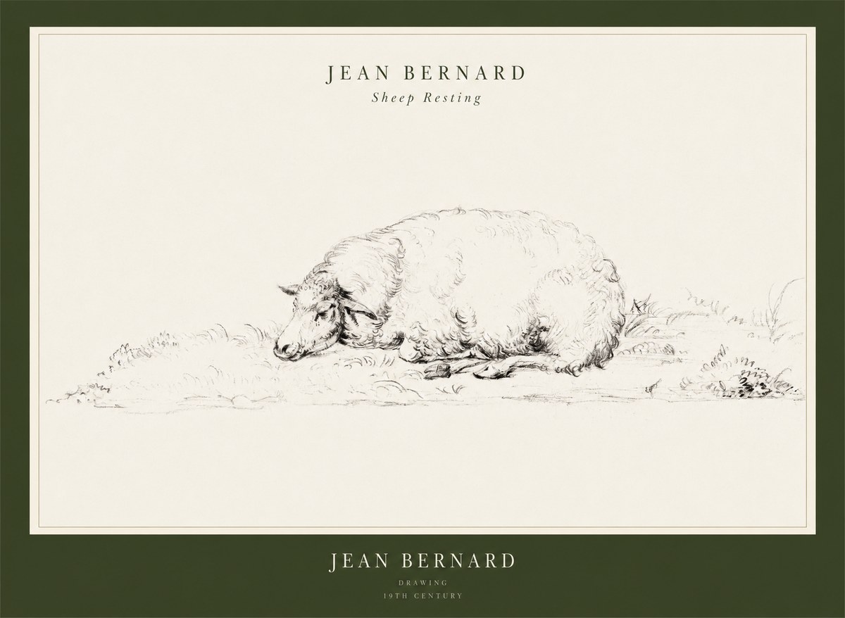 Jean Bernard Sheep Resting on the Ground No3 - Affiche