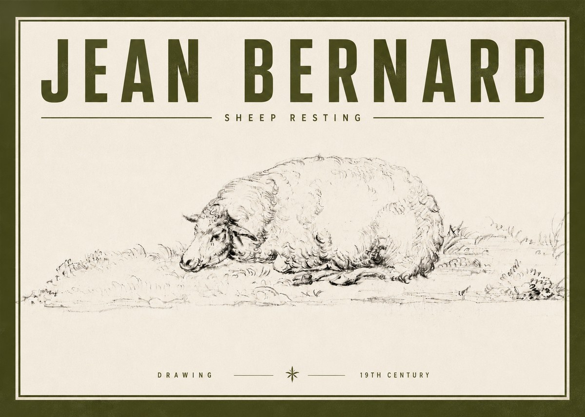 Jean Bernard Sheep Resting on the Ground No6 - Affiche