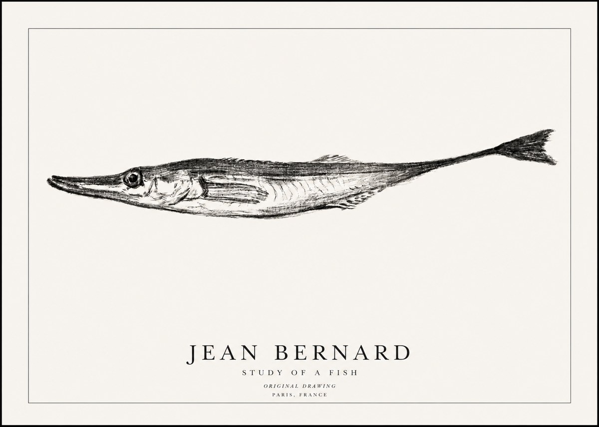 Jean Bernard Study of a Fish I No1 - Affiche