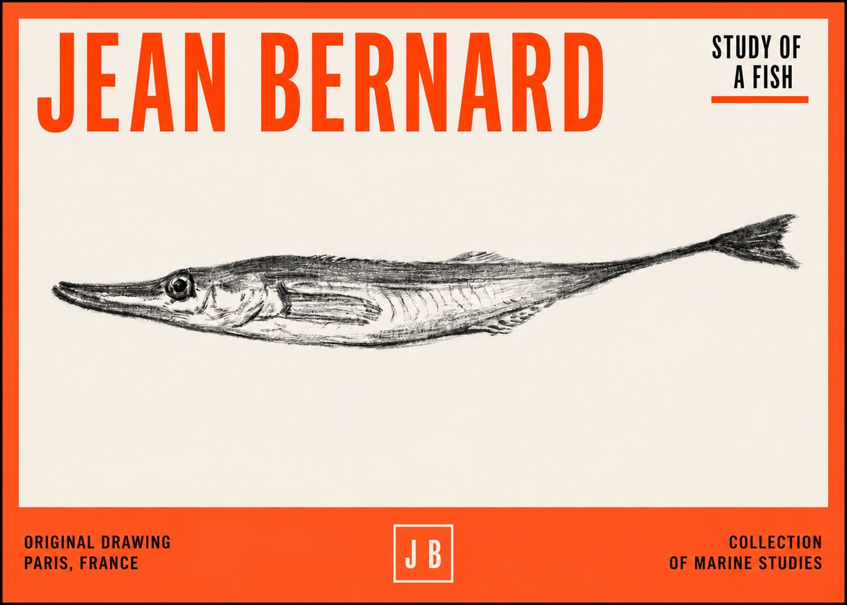 Jean Bernard Study of a Fish I No2 - Affiche