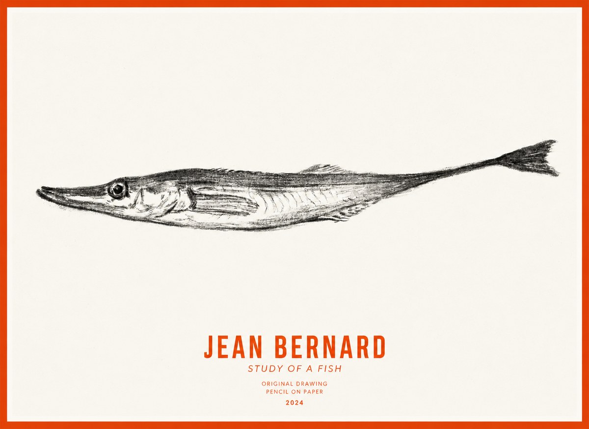 Jean Bernard Study of a Fish I No3 - Affiche