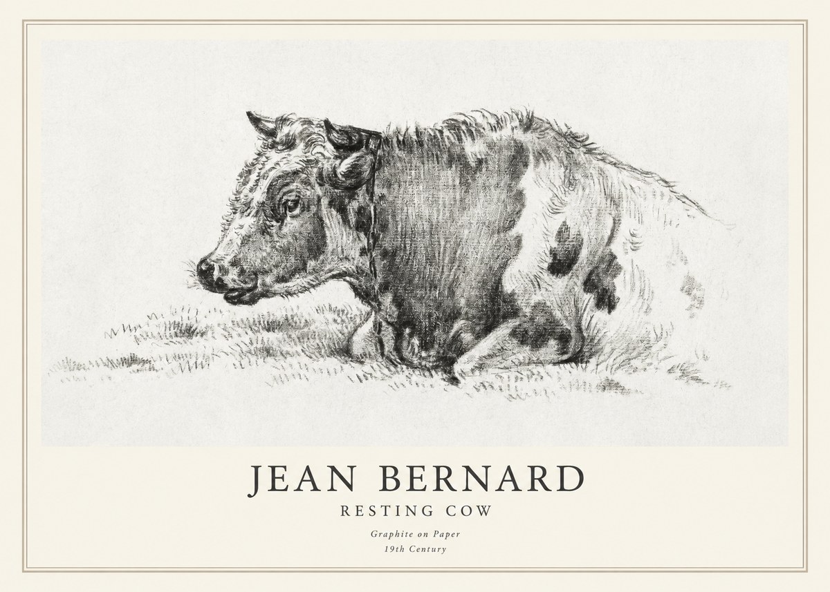 Jean Bernard Resting Cow I No1 - Affiche