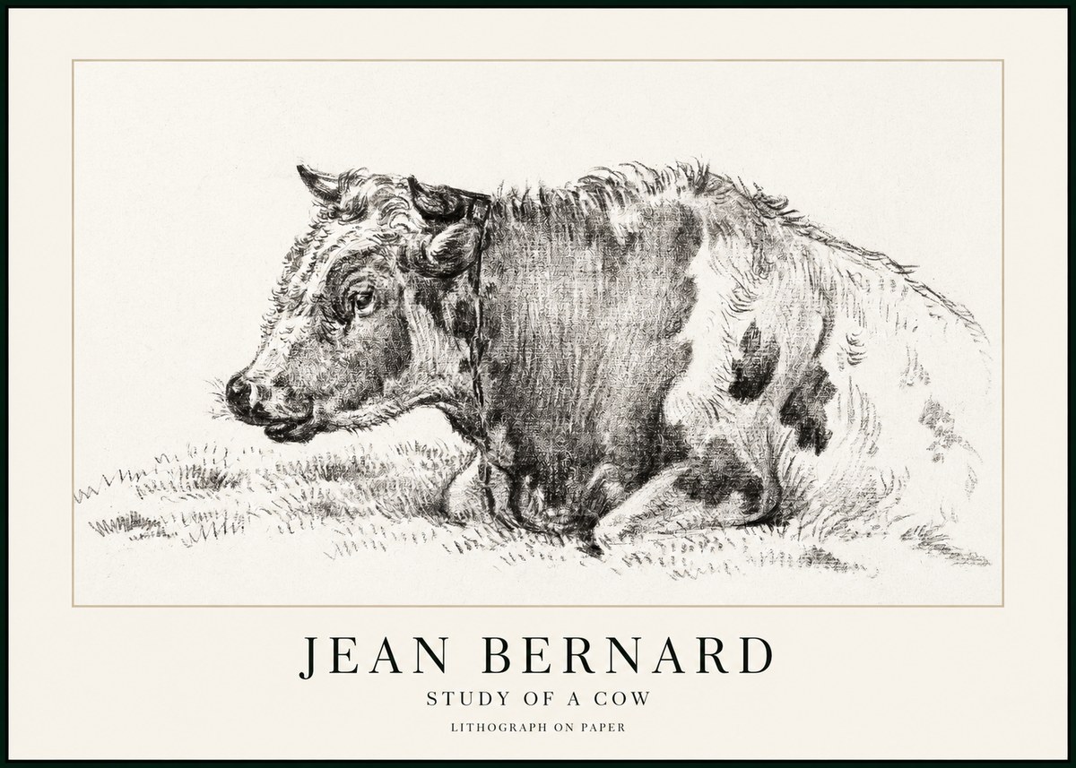 Jean Bernard Resting Cow I No3 - Affiche