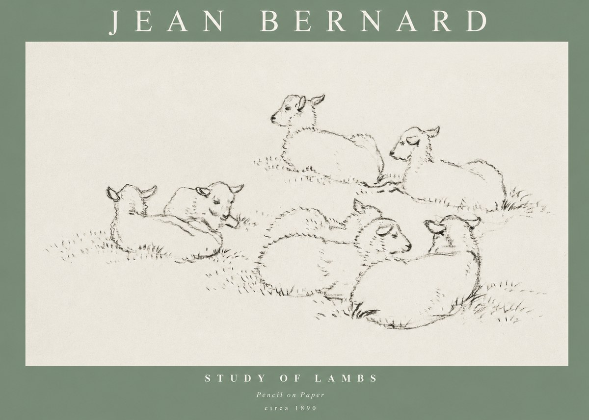 Jean Bernard Study of Lambs No1 - Affiche