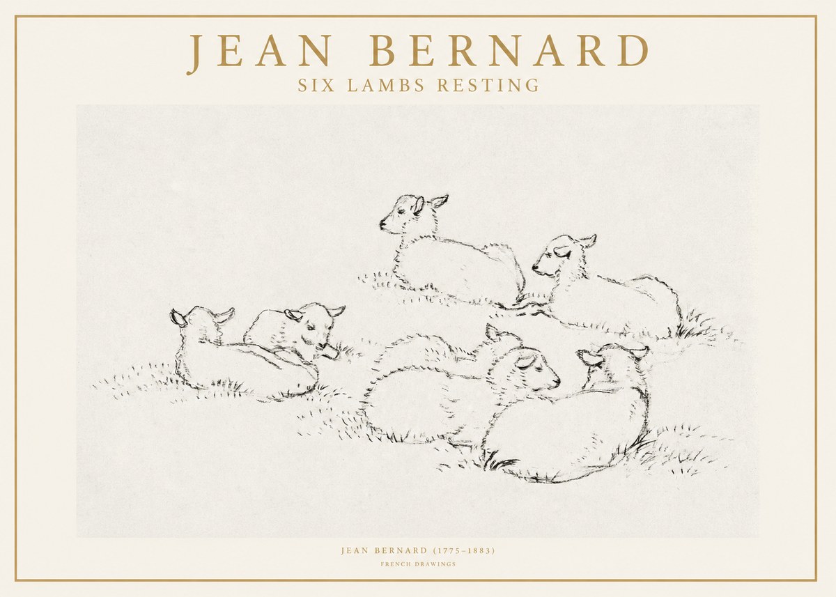 Jean Bernard Study of Lambs No2 - Affiche