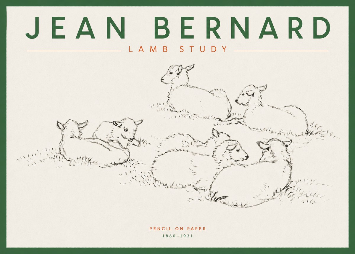 Jean Bernard Study of Lambs No5 - Affiche
