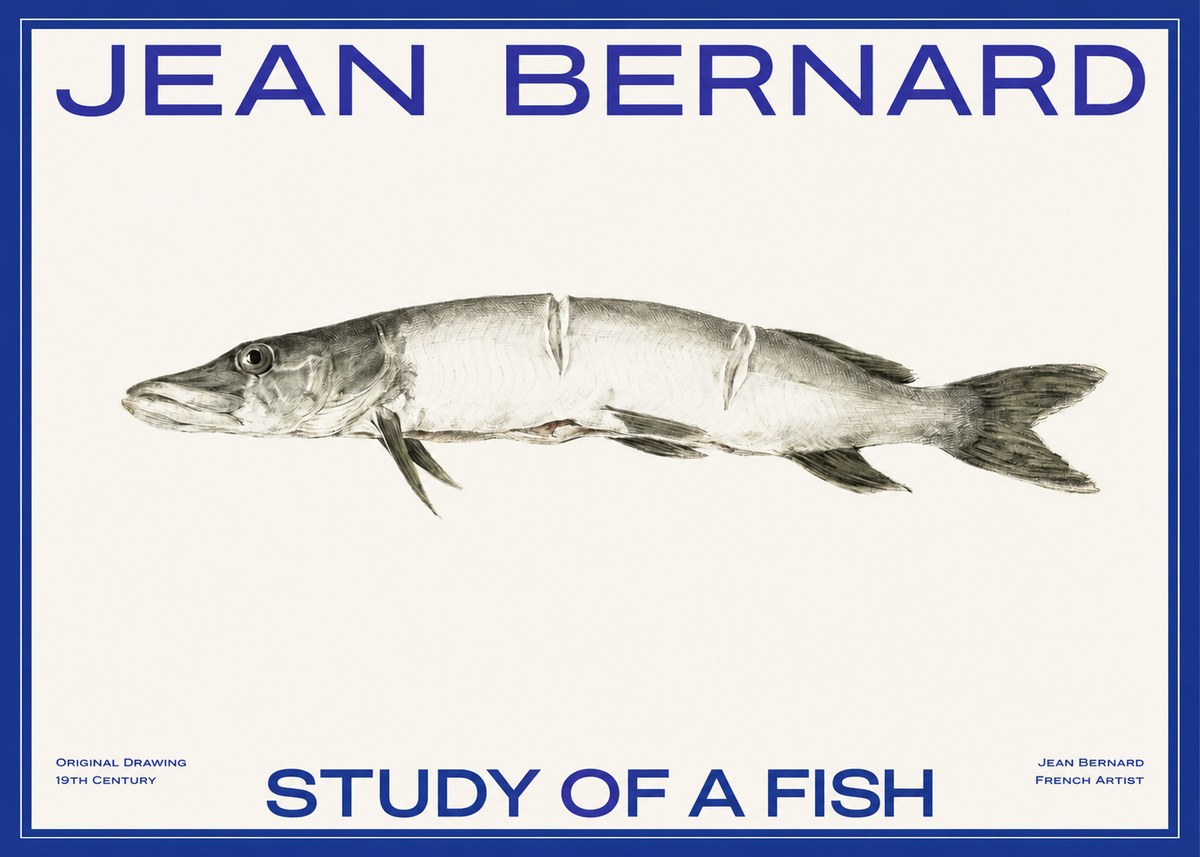 Jean Bernard Study of a Fish II No2 - Affiche