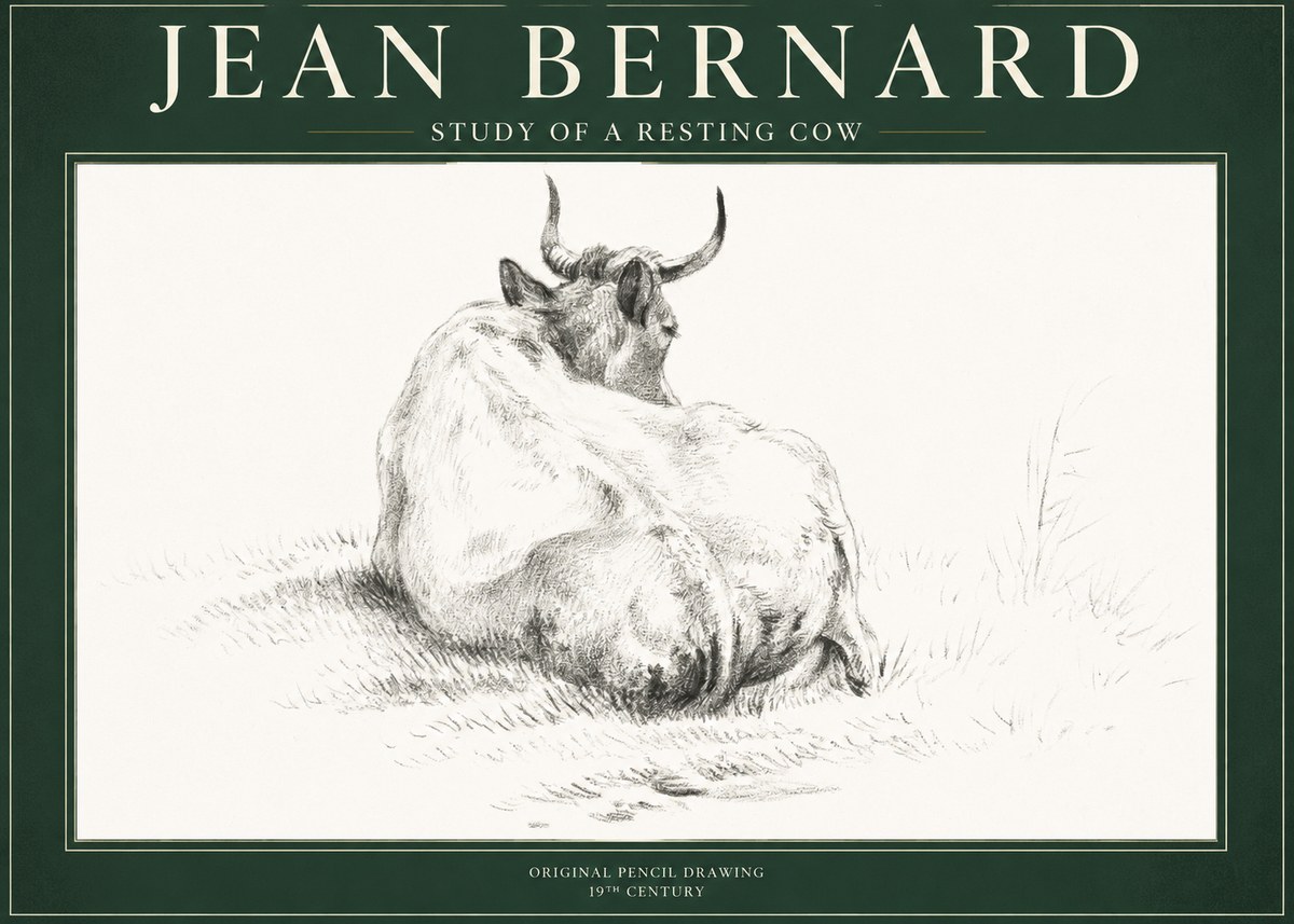 Jean Bernard Study of a Resting Cow I No1 - Affiche