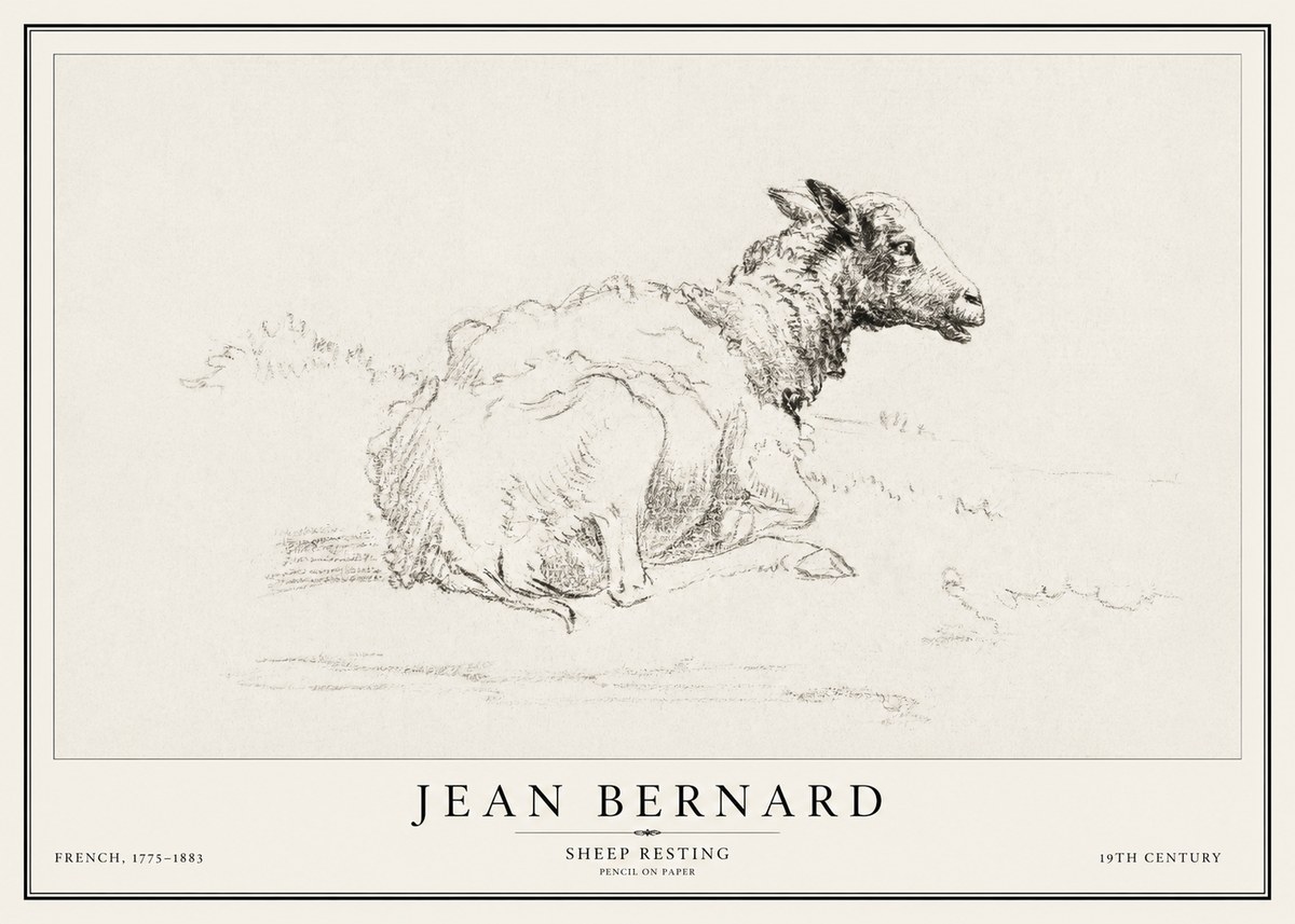 Jean Bernard Sheep Resting No1 - Affiche