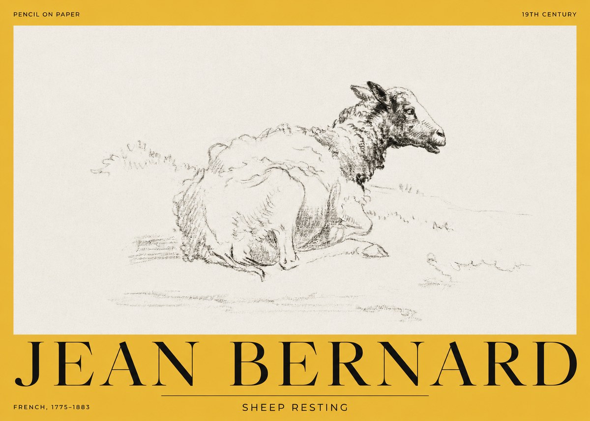 Jean Bernard Sheep Resting No2 - Affiche