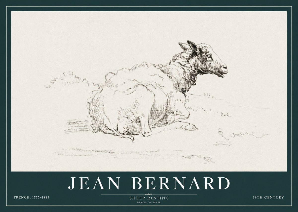 Jean Bernard Sheep Resting No3 - Affiche