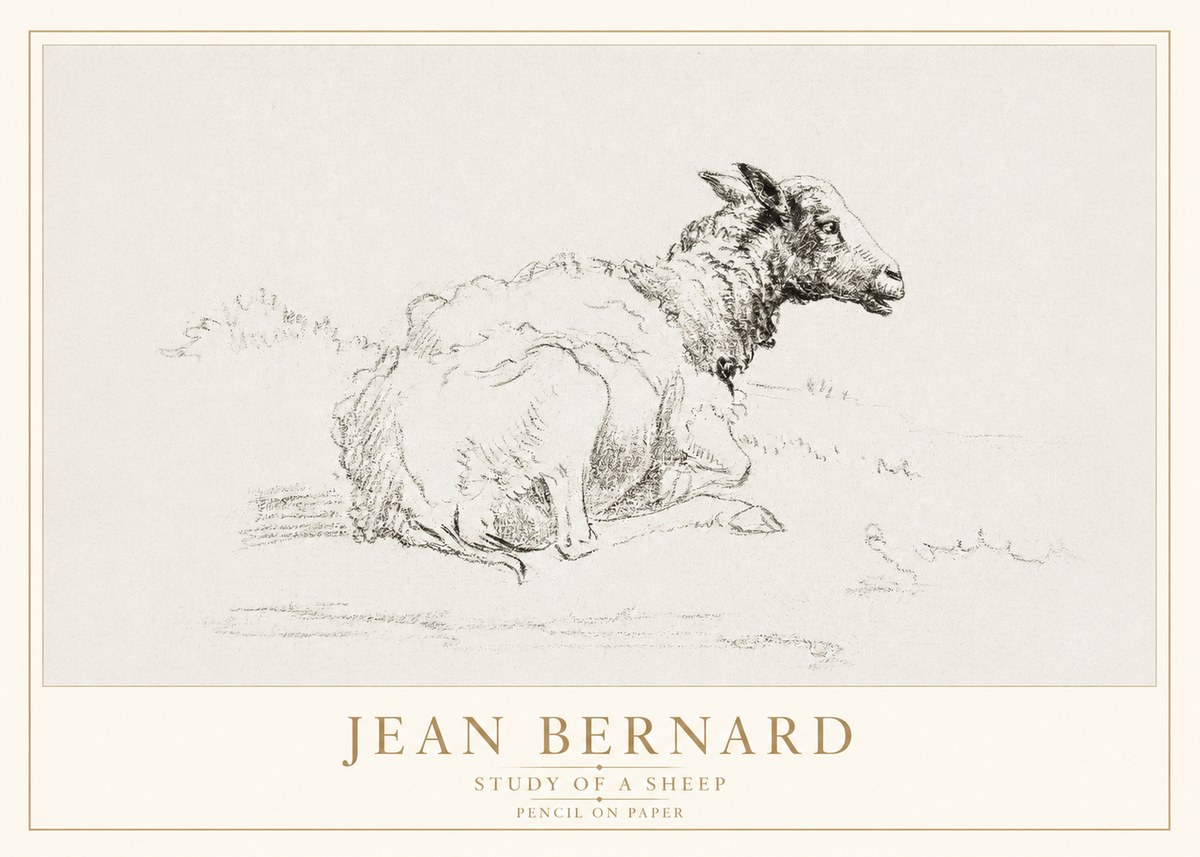 Jean Bernard Sheep Resting No4 - Affiche