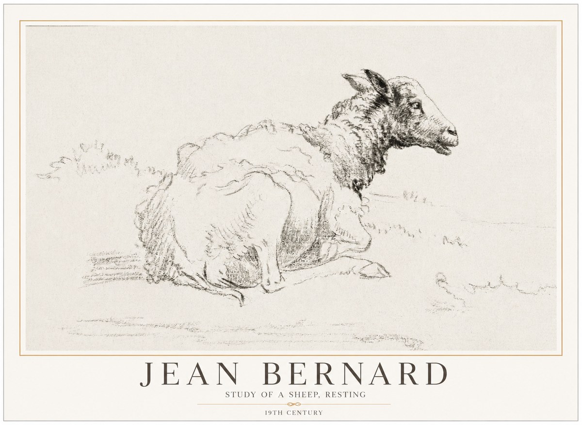 Jean Bernard Sheep Resting No5 - Affiche