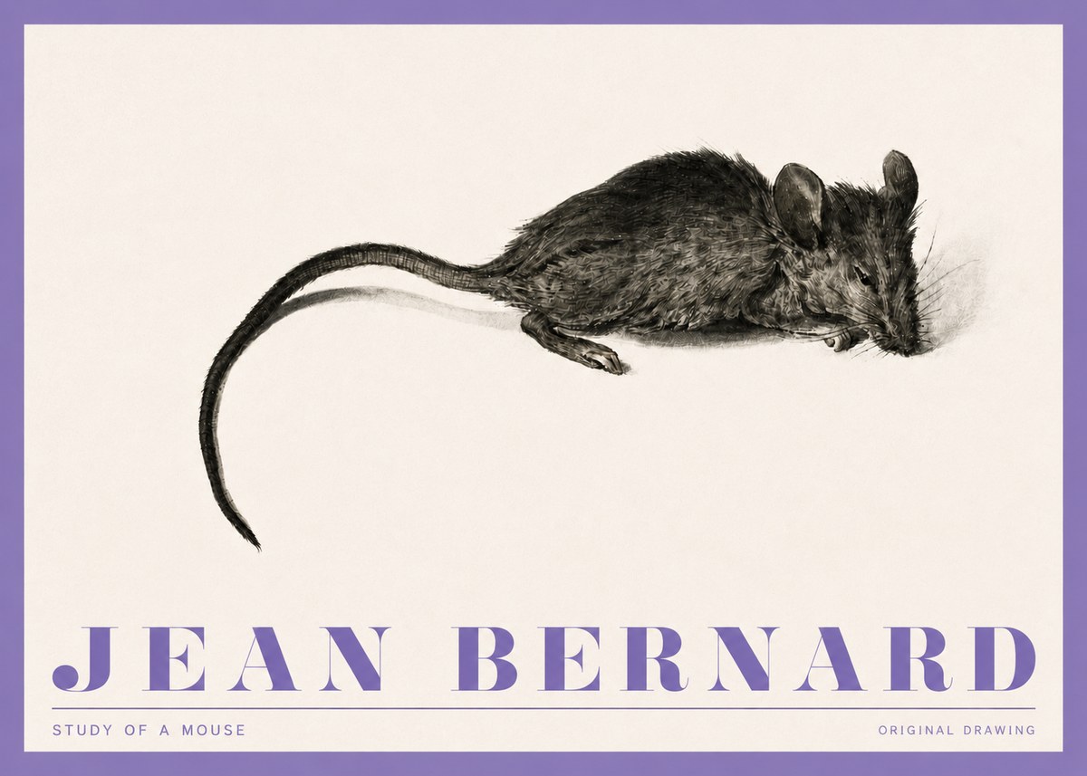Jean Bernard Study of a Mouse I No4 - Affiche