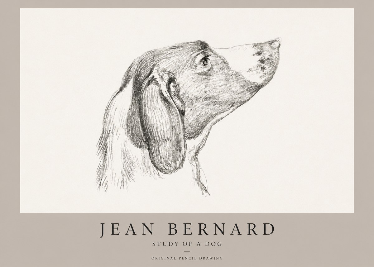 Jean Bernard Study of a Dog I No1 - Affiche