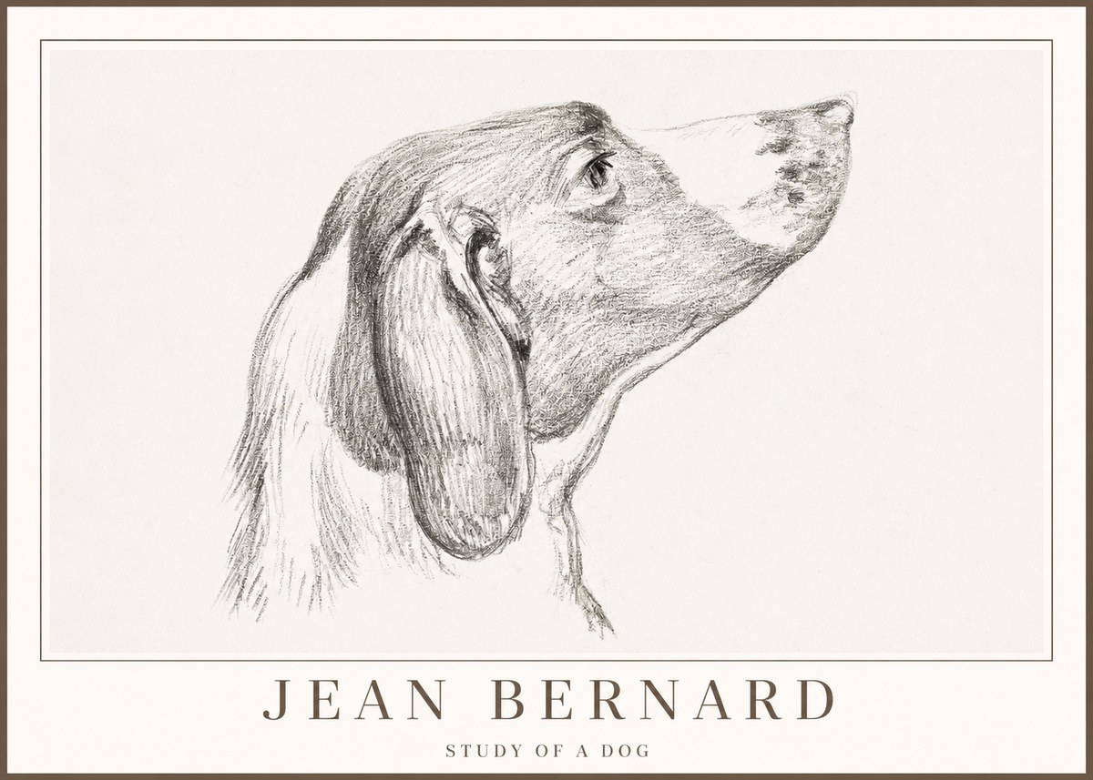 Jean Bernard Study of a Dog I No2 - Affiche