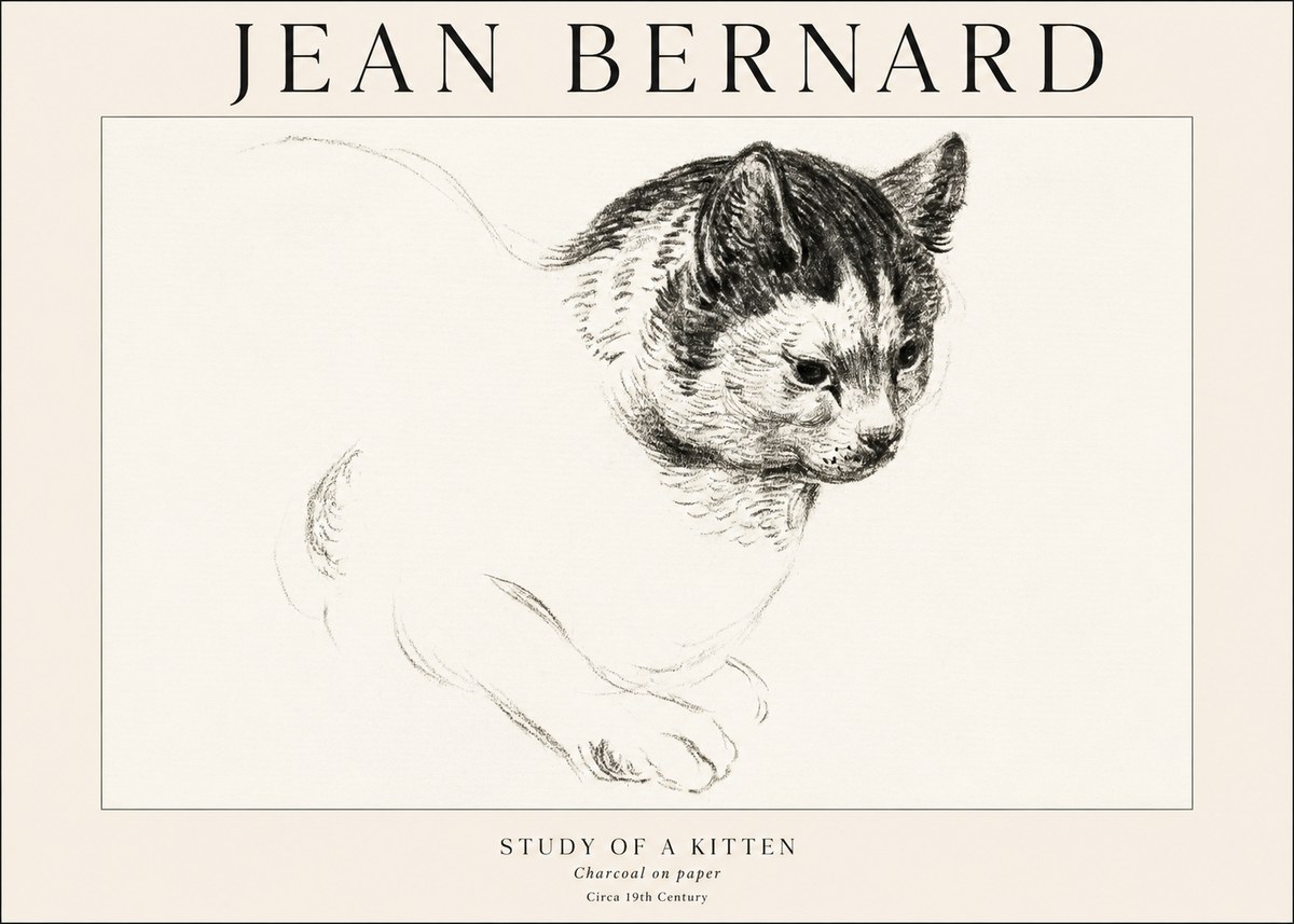 Jean Bernard Study of a Kitten I No1 - Affiche