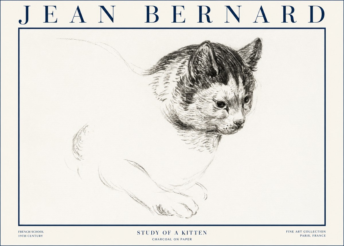 Jean Bernard Study of a Kitten I No4 - Affiche