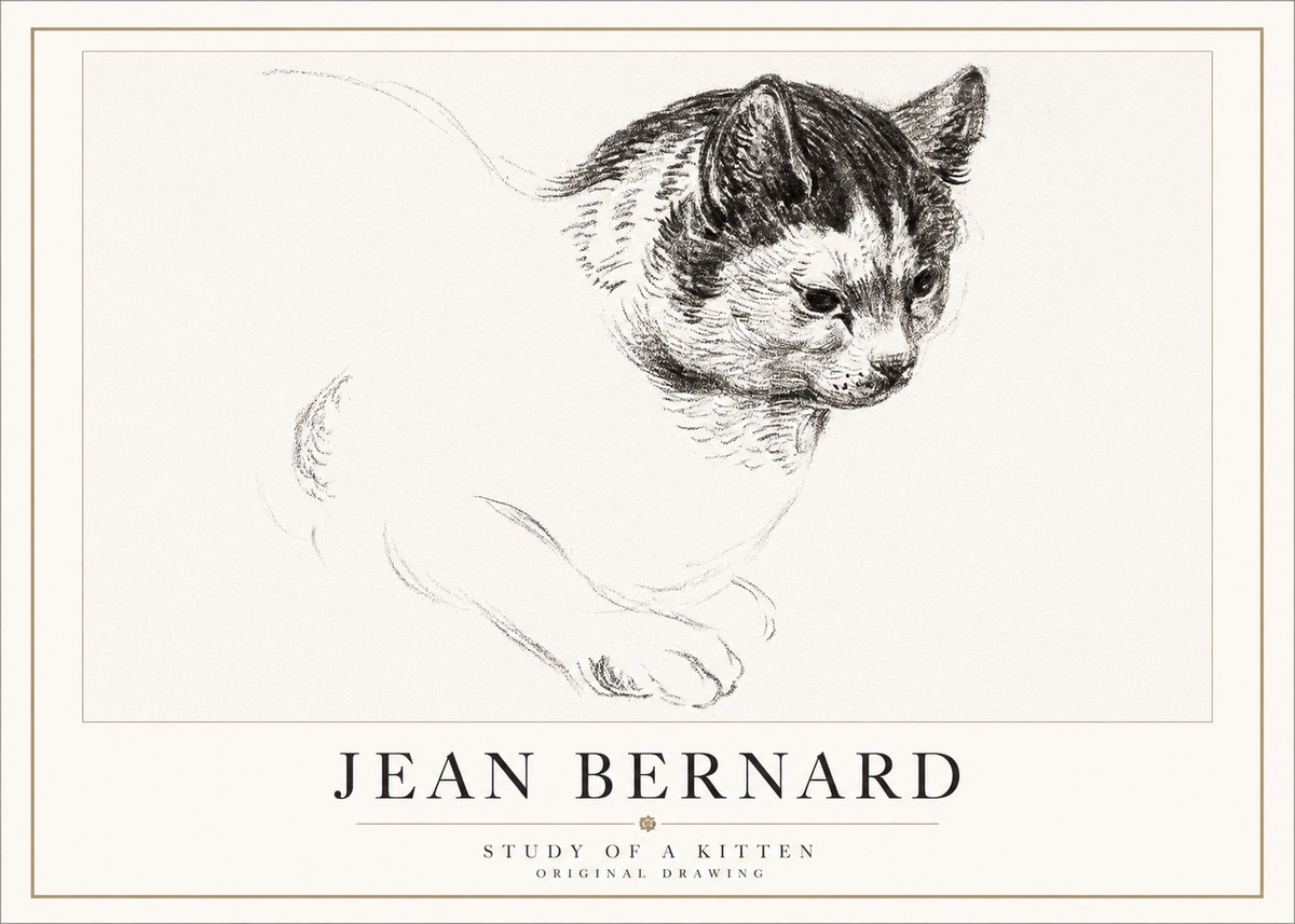 Jean Bernard Study of a Kitten I No5 - Affiche