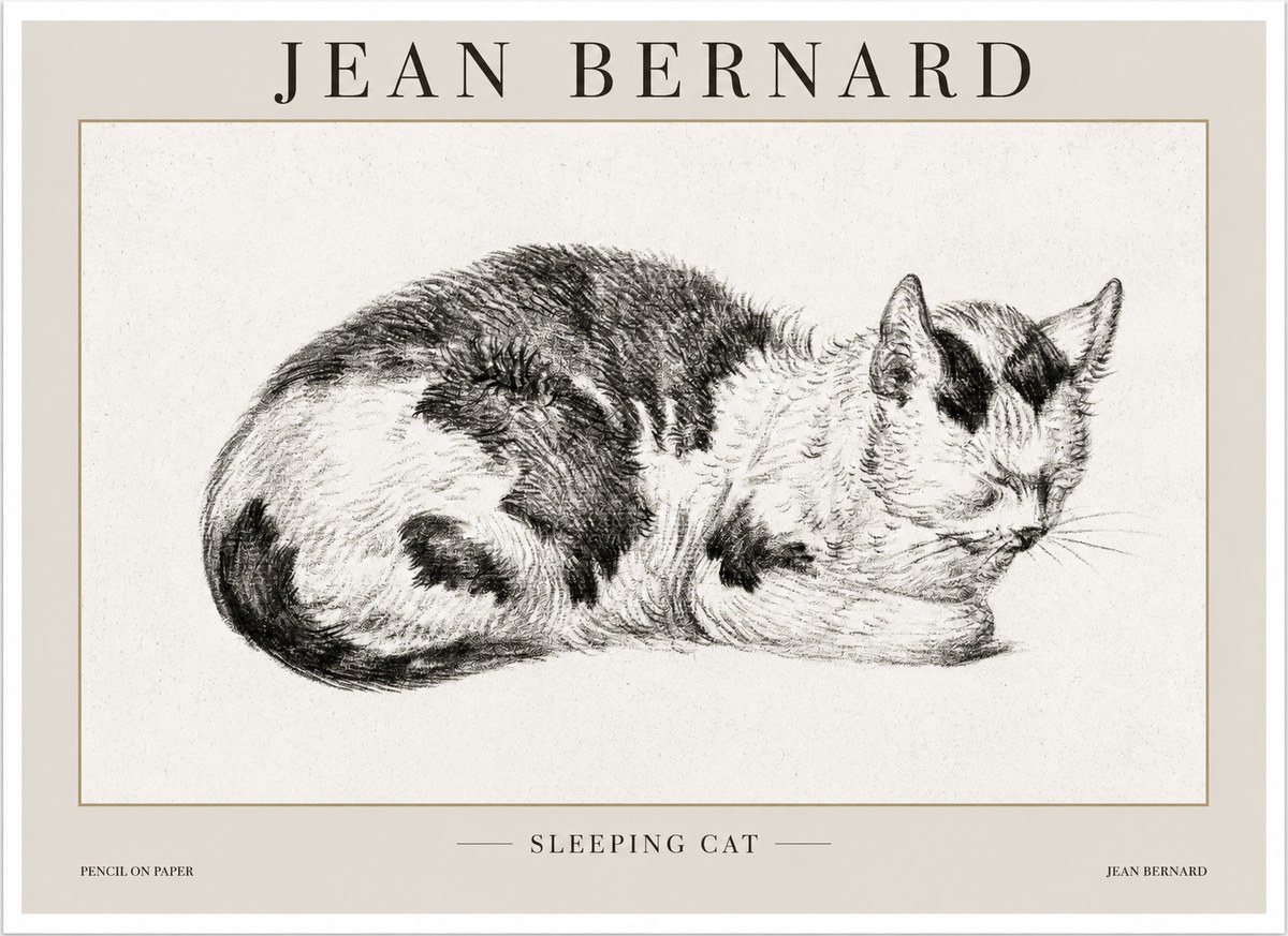Jean Bernard Sleeping Cat I No1 - Affiche