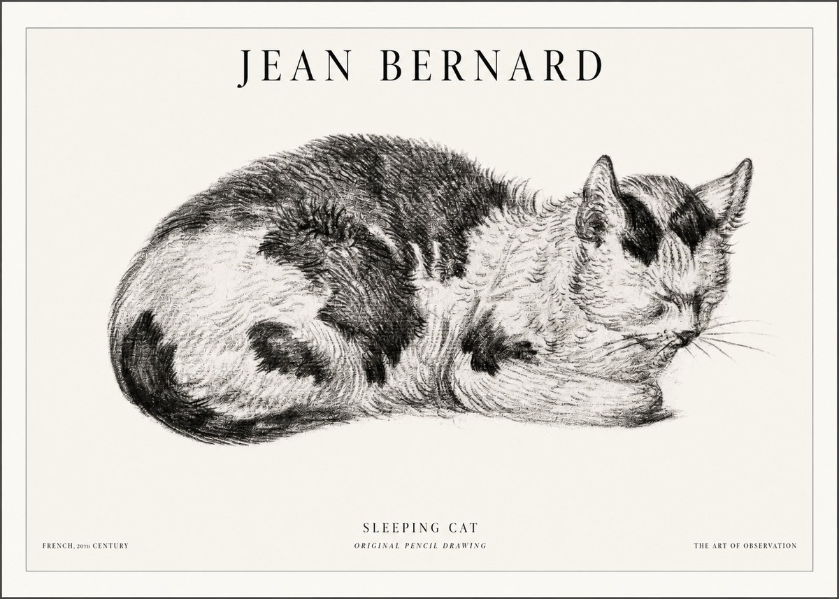 Jean Bernard Sleeping Cat I No5 - Affiche