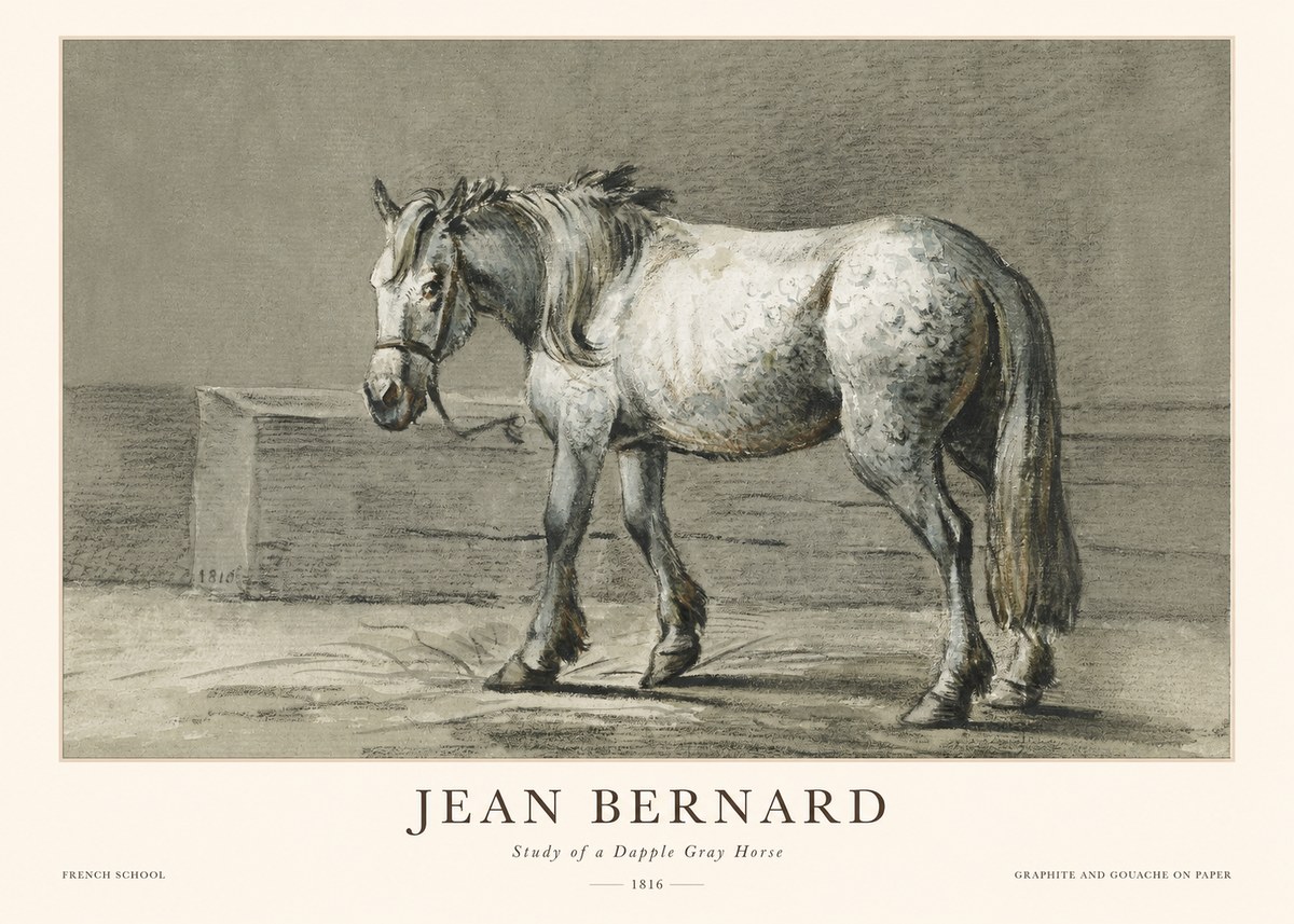 Jean Bernard Study of a Dapple Gray Horse No1 - Affiche